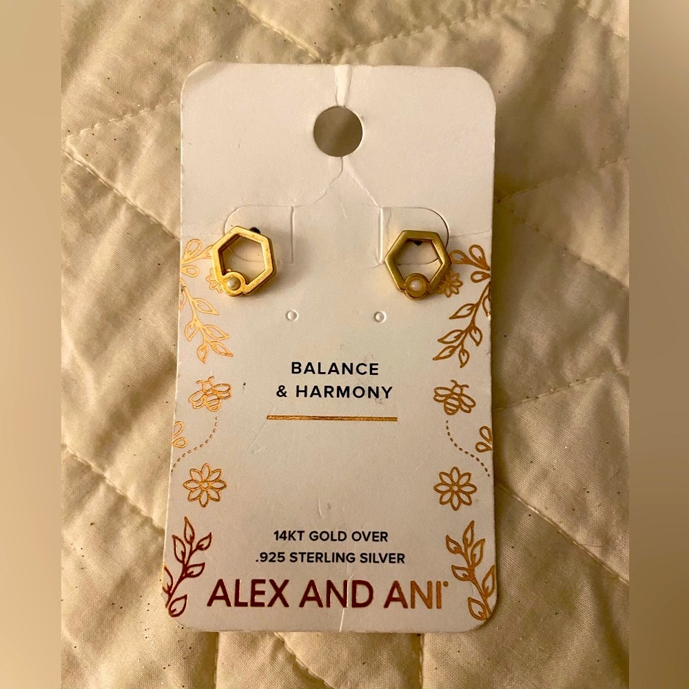 Alex and Ani post earrings